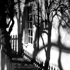 Spirit_shadows