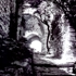 Visible_light_