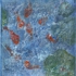 Goldfishpond1_72