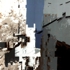 Living_on_the_edge