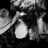 Foxhunter_websize