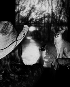 Foxhunter_websize