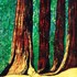 Whispering_woods-400dpi-6000