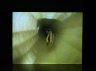 L A Diary (Film Still) ,Alia Syed