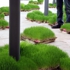 Portable_wheatfield