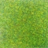 11_spatch_25