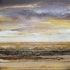Beachdebris2009a