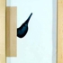 7_bubirds