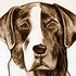 _praline___catahoula___graphite_on_white_paper__2005_by_antonio_rael__3sepia2