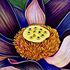_bali_floral_ii___antonio_rael__2007