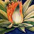 _bali_lotus_flower_i___antonio_rael__2007