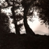 Scarpa_20090314a