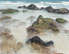 Floating_2007