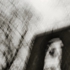 Grau1