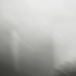Grau2_