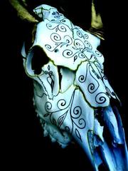Curbits_skull_2