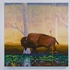 Buffalo_finding_his_intuition-small