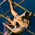05_sf_web