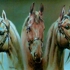 Horse_5