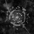 Wheel_of_samsara