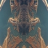 Divine3815-sm
