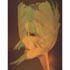 Spirit_of_spring