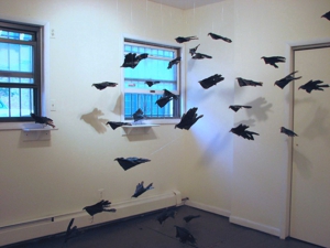 Nolan_glove-winged_blackbirds