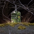 Greenhouse
