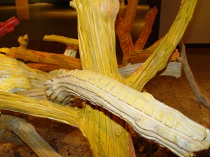 Dsc00461