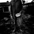 Web_gallery_edwards_jon_eggs