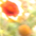 Flowers4