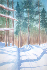 Canada_snow_track_1