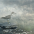Sandpiper-as-smart-object-1