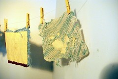 Dish1