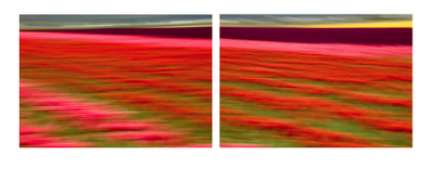 Passing_through_the_valley_diptych