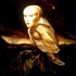 Enter_the_harpy__2008__edward_walton_wilcox__bitumen_on_canvas__48_x_48_inches_-_web
