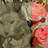 Cat_and_roses