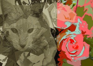Cat_and_roses