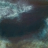 263