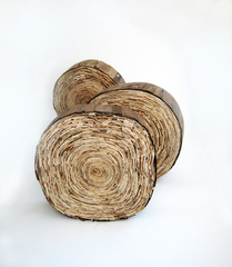 10__quercus_condido_pt_i_-_iii___back_view__-_fruit_box_wood___pva_wood_glue___dark_oak_varnish_-_dimensions_variable_-_2009