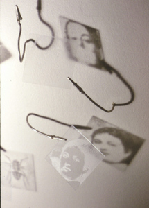 _specimens_-detail