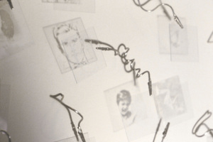 Specimens_detail