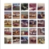 Carscolor