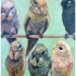 Heavens-golden-chorus-sings_-hells-angels-flap-their-wings