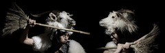 1_photo_by_fang_lei_s