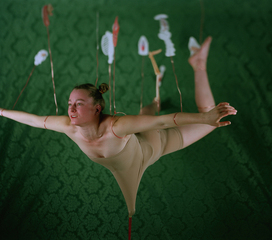 Flying,Jennifer Campbell