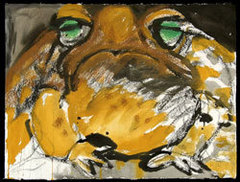 Toads
