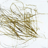Tangle