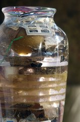 The Residue Series: Everyday Accumulation,Ann Torke