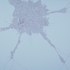 Ontological_road_map_042806